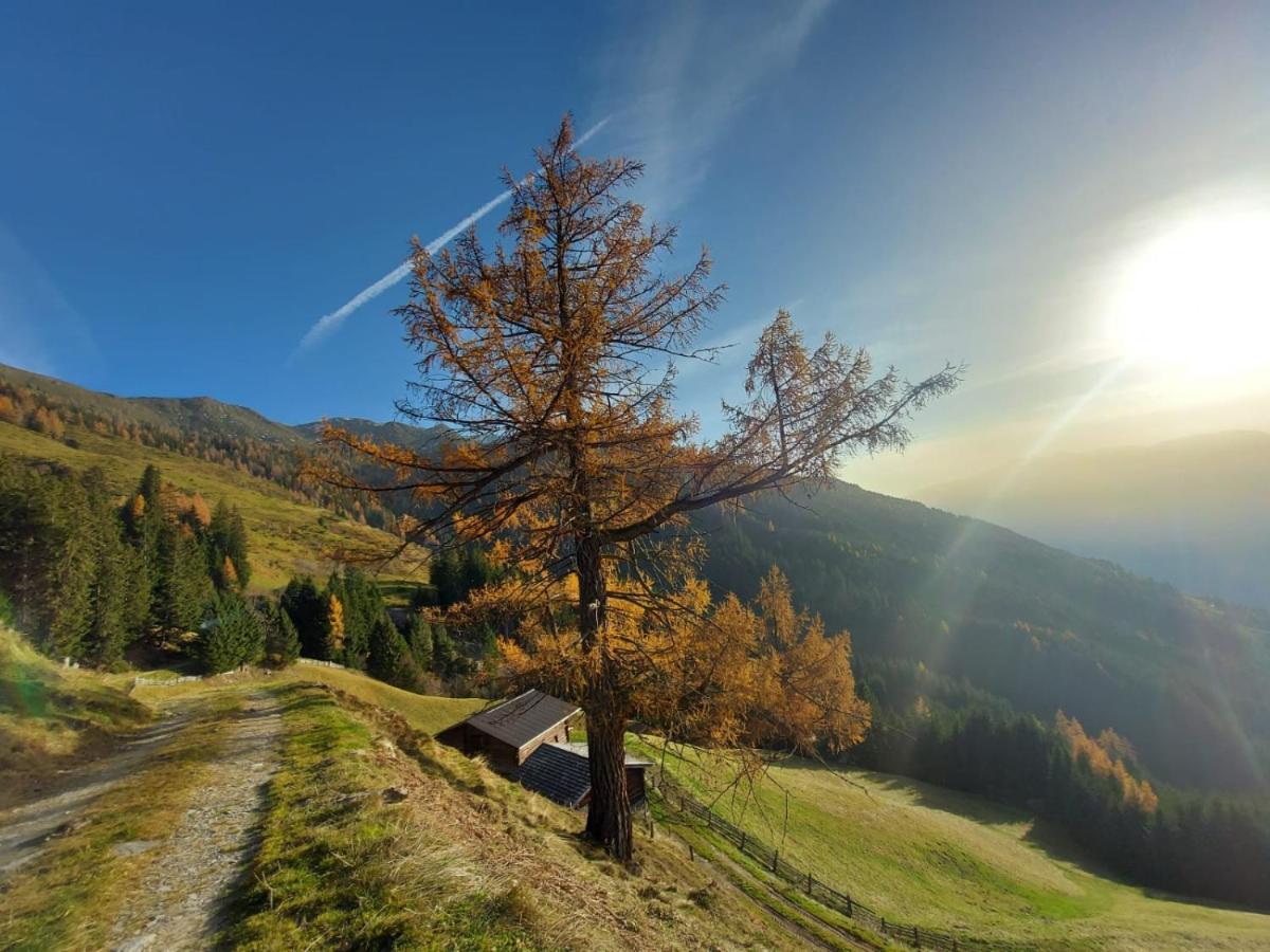 Seven Reasons / Panorama View Hart im Zillertal
